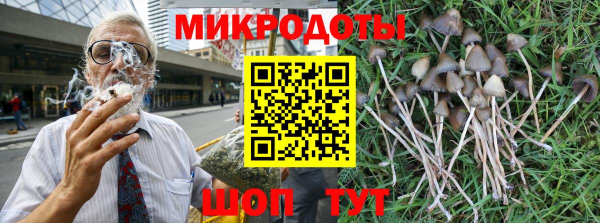 Галлюциногенные грибы Psilocybine cubensis Скопин